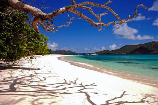 Curieuse is located off the northwest coast of Praslin and is a nature reserve. Apart from Praslin,Curieuse is the only island where the wondrous Coco-de-Mer nut still grows naturally. But that's not all,8 different mangrove species and
