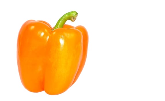 Paprika