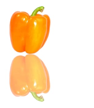 Paprika