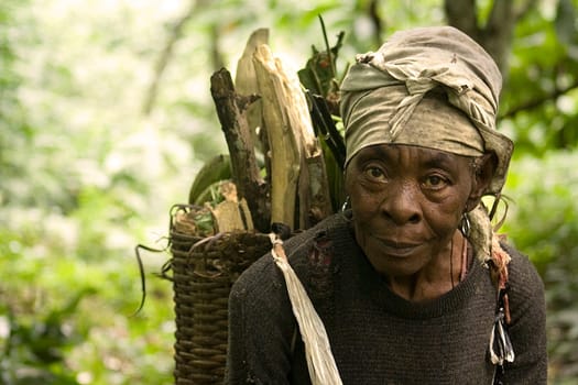 In the villages in the rainforest in southern Cameroon,there is no electricity. Cooking is done with wood,which is plentiful. Butagas is far too expensive for these people. So there is the daily drudgery of collecting wood for this woman,who has a large family