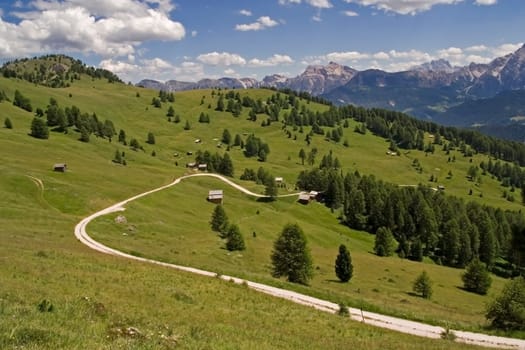 Alpine meadow