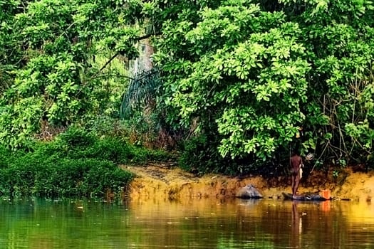 With the last bidl my series from the Cameroonian rainforest began. For two days I was able to take a boat trip up the Lobé river with my wife and a local guide. This rainforest area is protected,it is huge,probably.