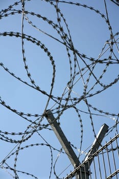 Barbed wire entanglement