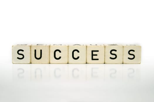 Success in business