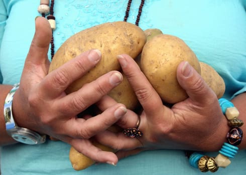 Potato harvesting