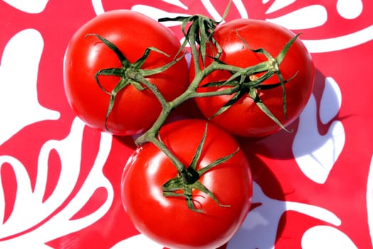 Peppy tomatoes