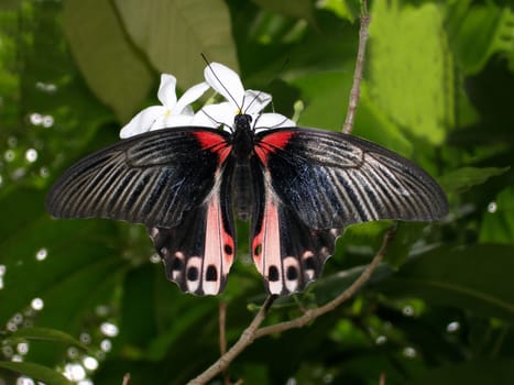 Recorded in Singapore.