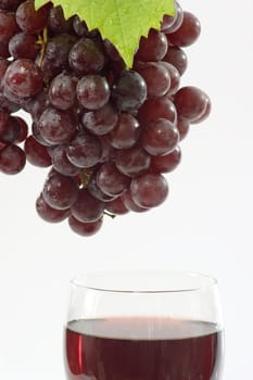 Dry red wine