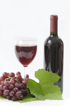 Wine
