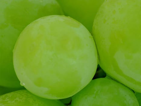 Grapes
