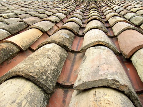 Roof tiles 01