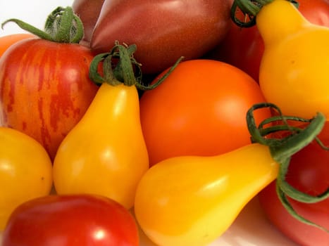 Tomato 03