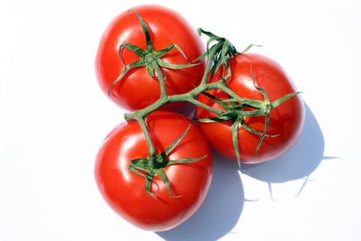 Trio of tomatoes