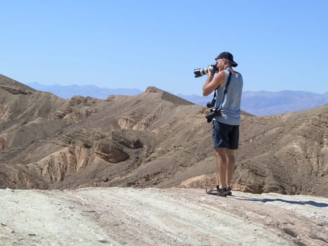 Desert paparazzi