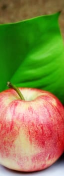 healthy nutrition