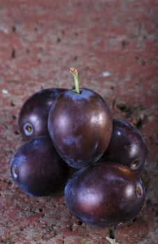 Plums on brick