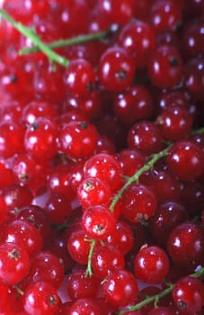 Currants