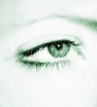 Macro Eye