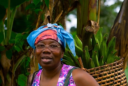 ... And they can be very difficult. So ne Kratte weighs a good 40 kilos. Fortunately,the house is not too far from the banana plantation. Why does she harvest the bananas green? They are plantains (vegetable bananas),the main food in southern Cameroon. G