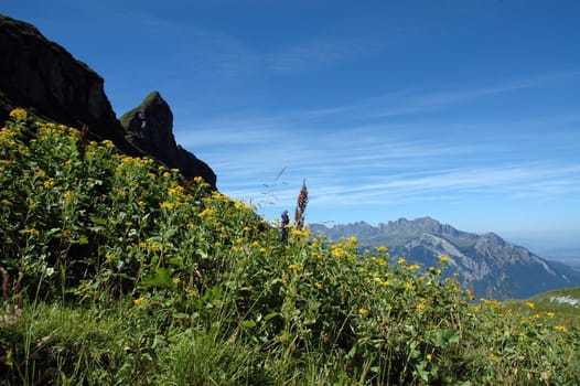 Out and about in the Swiss mountains