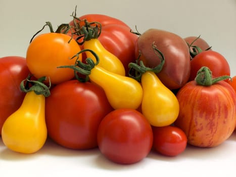 Tomato 04