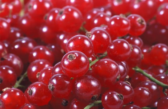 Currants