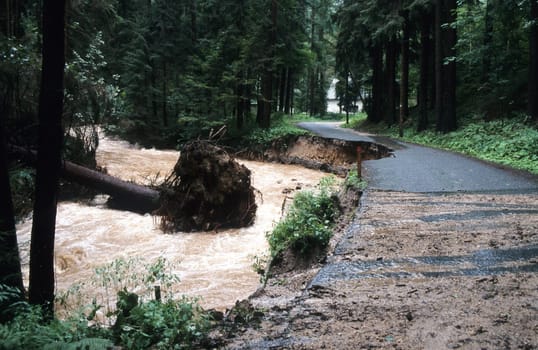 After the Flood