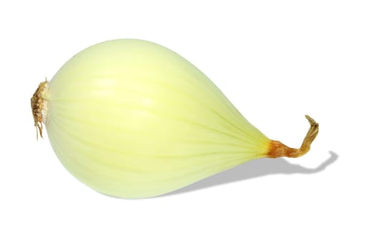 Onion