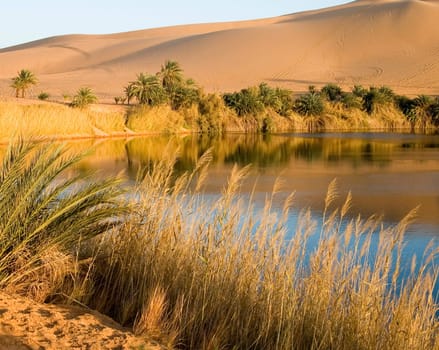 Desert Lake,Mandara Oaase,Libya