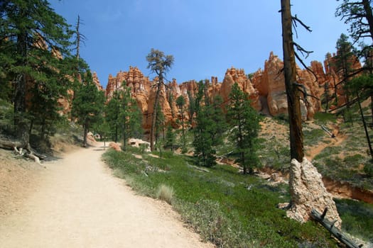 Bryce Canyon National Park