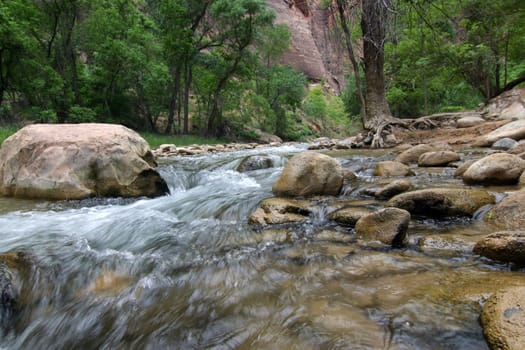Brook in Zion National Park