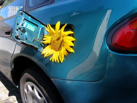 Eco-fuel