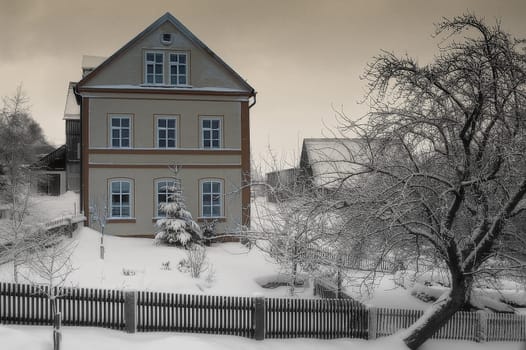 Winter 2