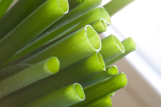 Spring onions