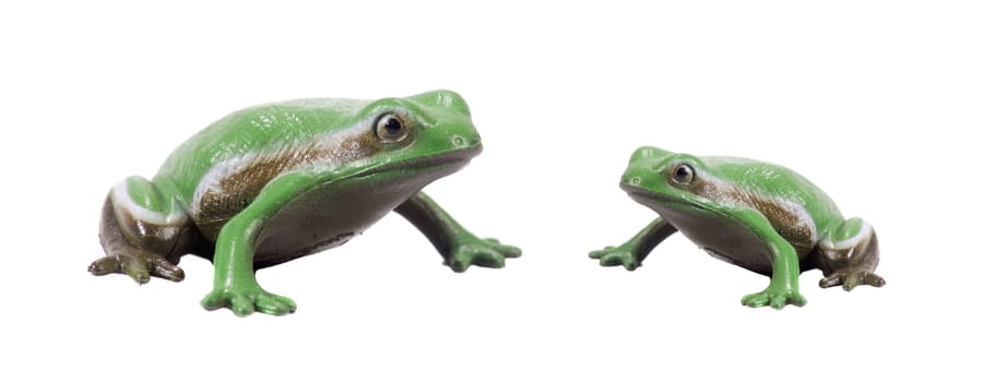 2 green plastic frogs