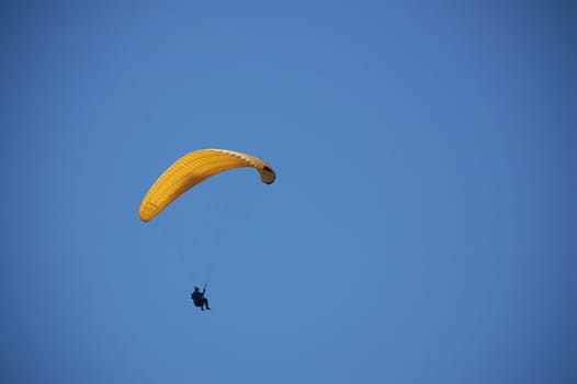 Paraglider
