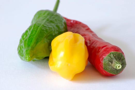 Paprika