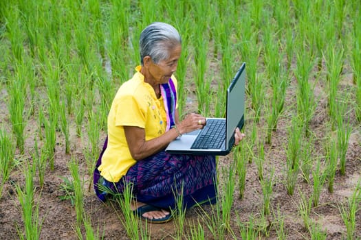 Computer generation