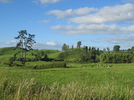 Hills