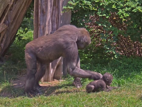 Mother and Child