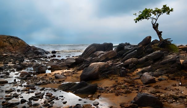 Low tide