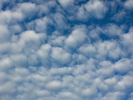 Altocumulus Clouds