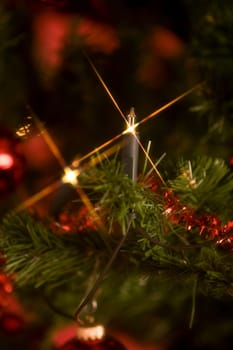 Candles on the Christmas tree
