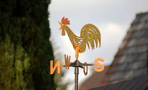 Weathercock