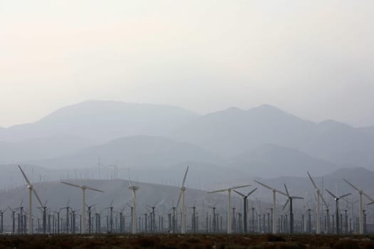 Wind farm near Palm Springs