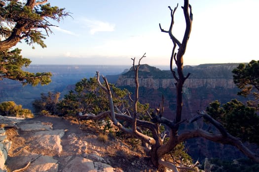 Grand Canyon National Park