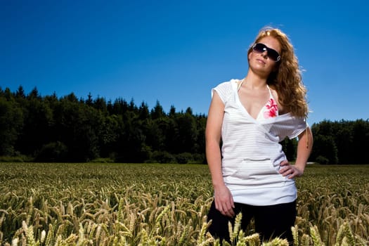 Summer in the cornfield
