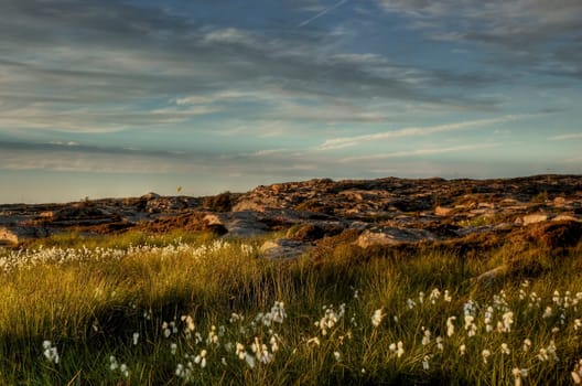 Archipelago in the evening light