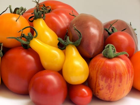 Tomato 05