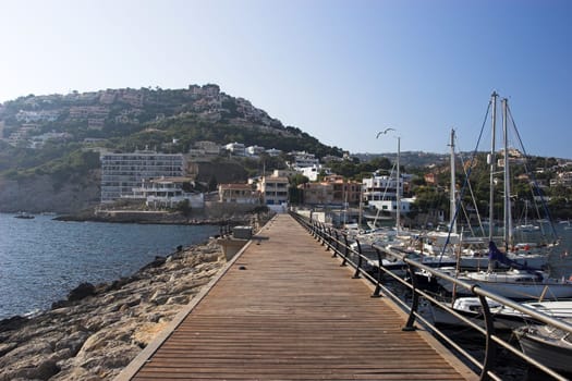 Port de Andratx
